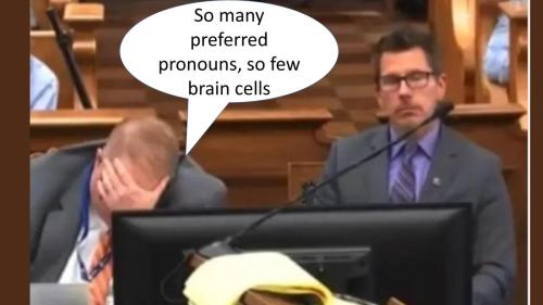 000brain cells