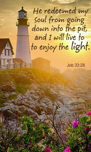 495a3e4c-29d2-42e1-884e-7f2f8f0f0be7