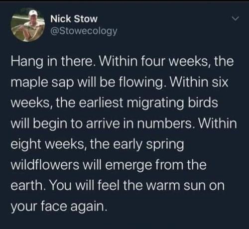 FB_IMG_1643138439991