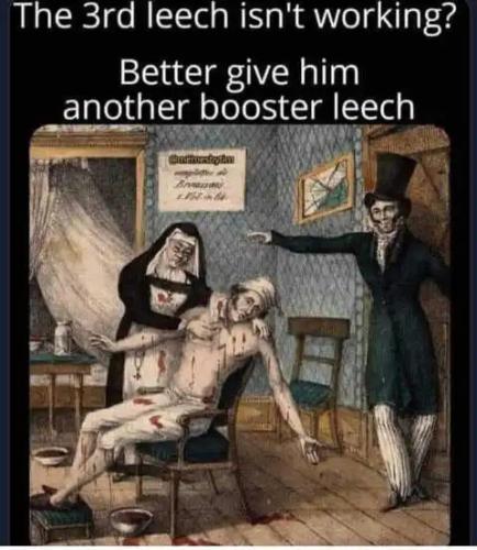 leech