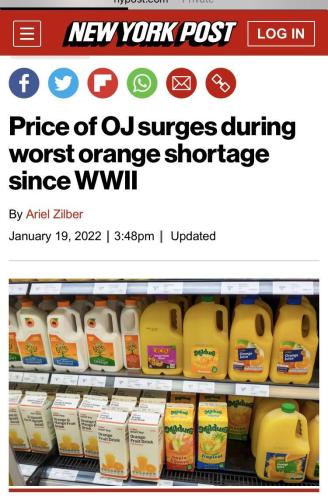 image_1642695383.881