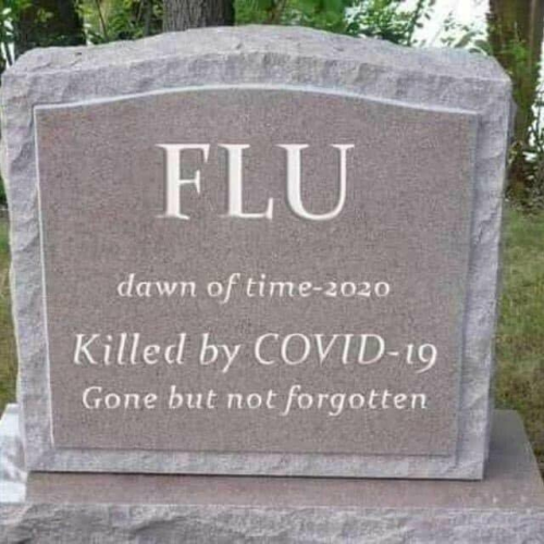 flu - gone but not forgotten