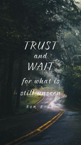 b3bb38ec-9f1a-46d4-be6b-d2dbb6ca93f2