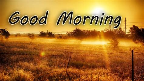 27F55C53-9B69-49C6-9DAA-99F8E4D6589D