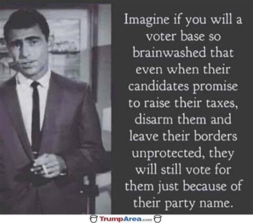 BrainwashedVoters