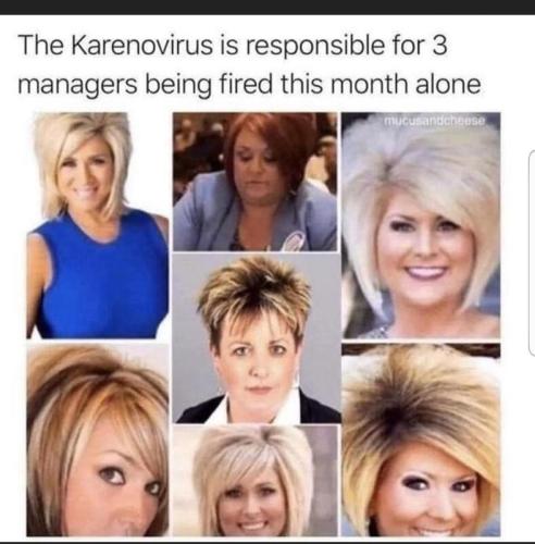 karenovirus
