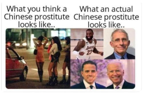 aa79cd591c2855d860ad8c0fd0a847ac_500x0