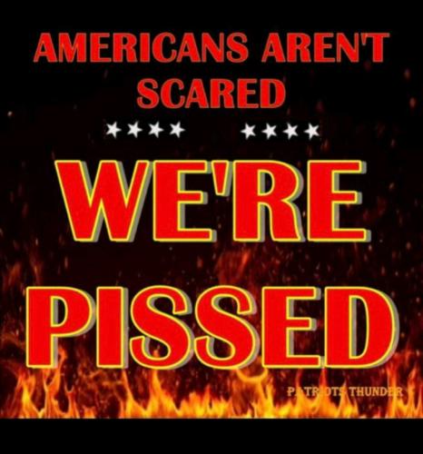 7038a194aabba8ab4b6c9ce0a3c365e2_500x0