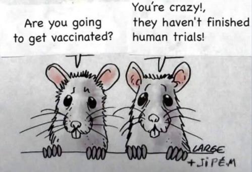 image_1641697315.501