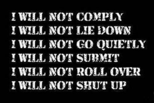 image_1643281363.986