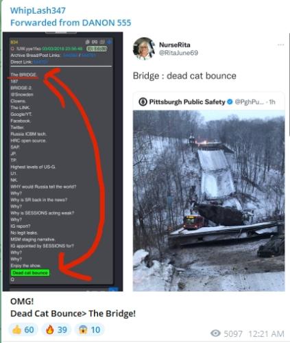 Dead Cat Bounce The Bridge!
