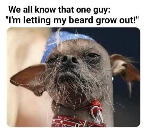 000beard