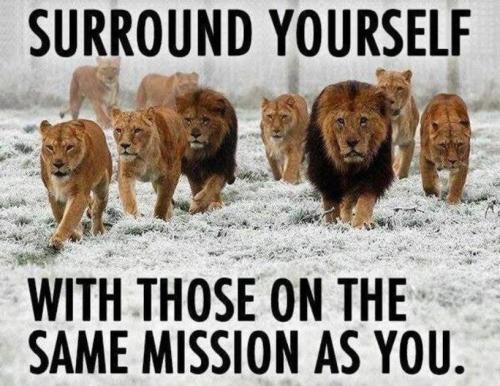 0EAB8E58-8E85-4657-B330-4DF883E6F489