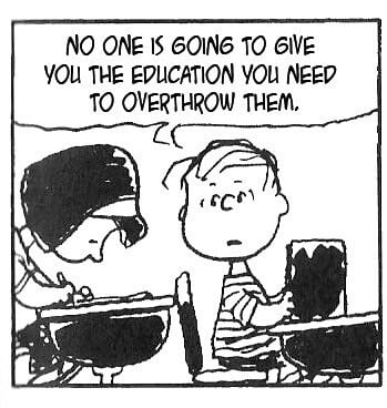 NO ONE IS GOING TO GIVE YOU THE EDUCATION YOU NEED TO OVERTHROW THEM