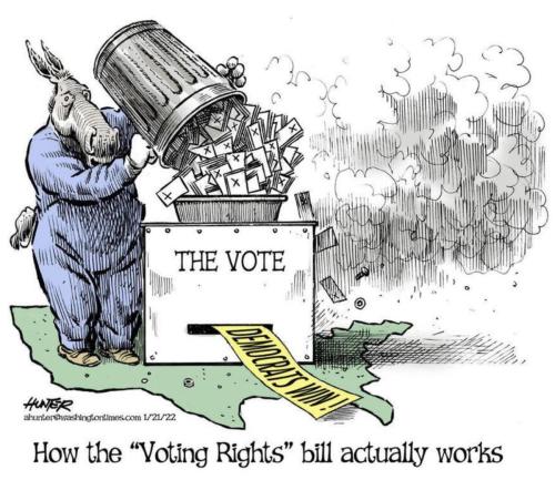 M voting rights