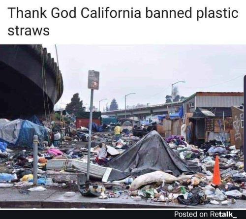 CA plastic straws