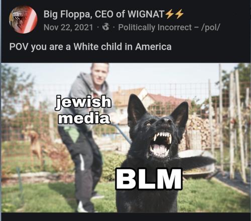 image_1643275642.348