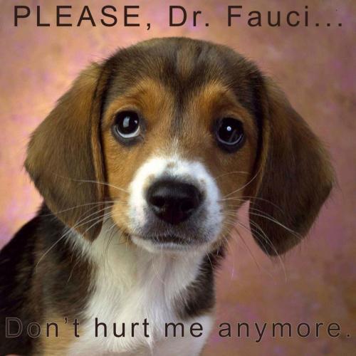 dont hurt me