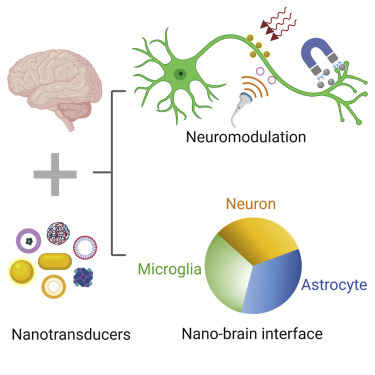 1-s2.0-S2590238521000679-fx1