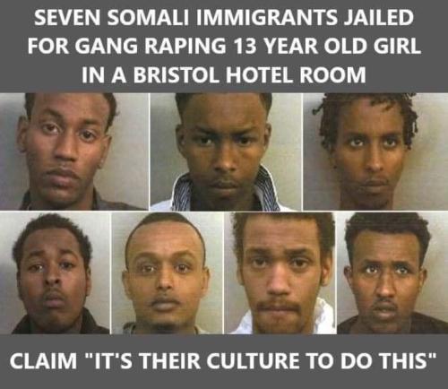 1b4d8affdbe08cba6f6137d6238d1e47_500x0