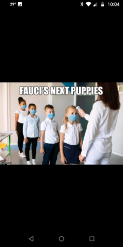 Screenshot_20220125-220405