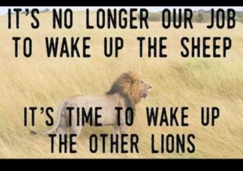 2D532758-A7BD-4546-9609-567B3479BA64