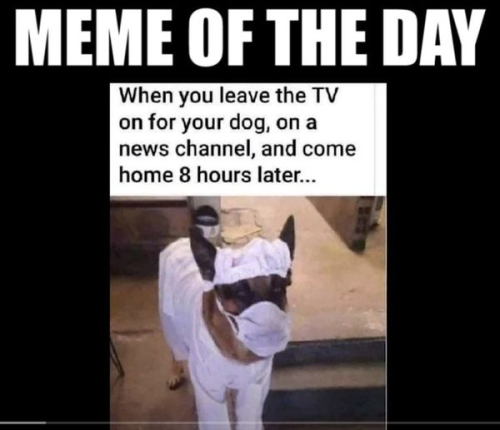 MEME OF THE DAY