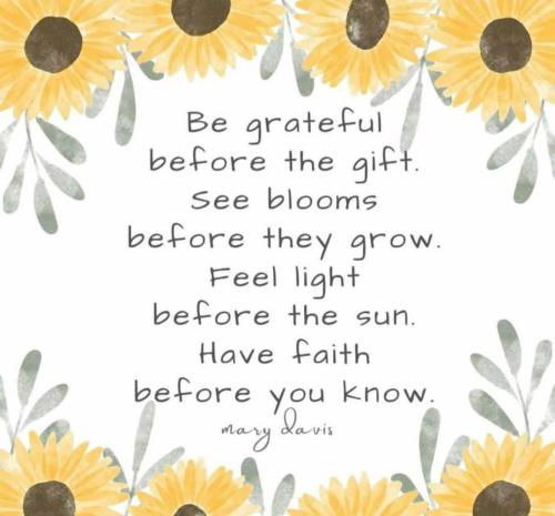 IMG_20220115_141605_014