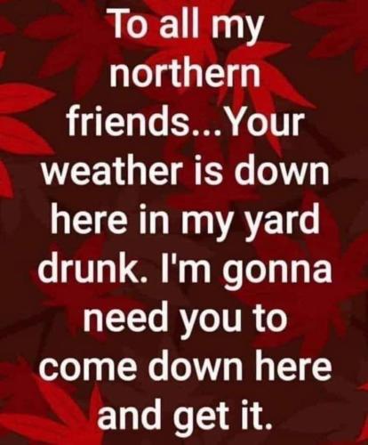 FB_IMG_1643043140374