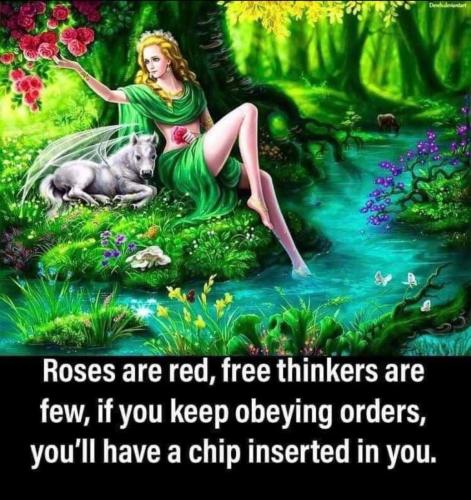 IMG_20220115_081543_151