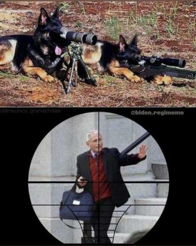 2674A155-282A-44F4-99E9-AB3540CD19A5