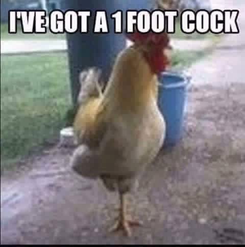13726