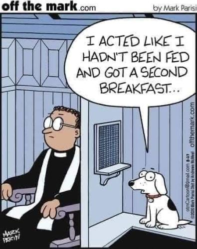 FB_IMG_1642809799356