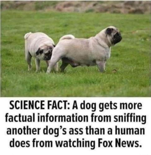 F2FA7584-1F39-46A3-8962-7CDE62B5B12E