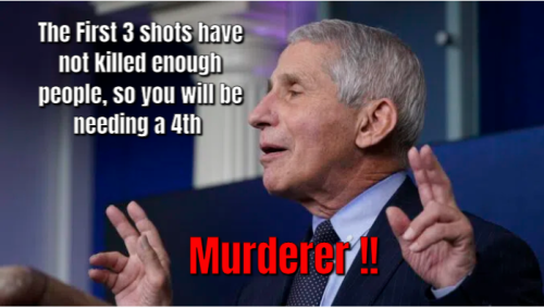 41 Murderer