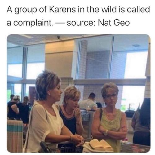 wildkarens