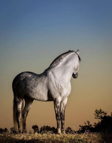 25A29121-849F-4FD7-BAFD-45BDEBA7287E