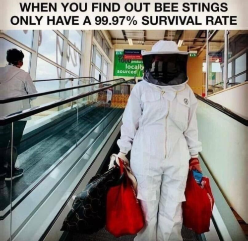 Meme476