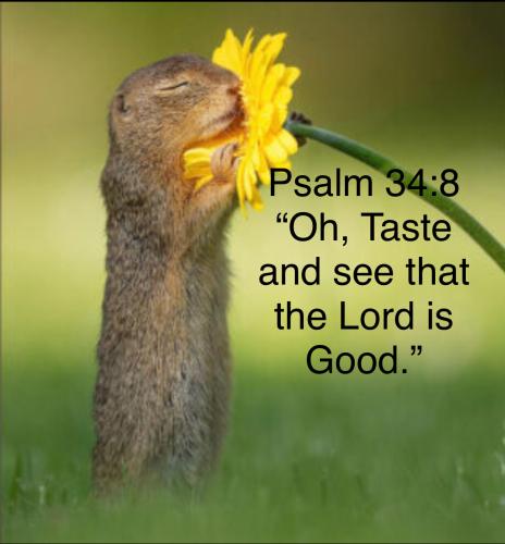 E555CB3E-432E-412C-8E5E-7BB6477AC991