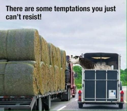 38CF9D2D-4296-4BCD-9AC4-5EC086ACC6B8