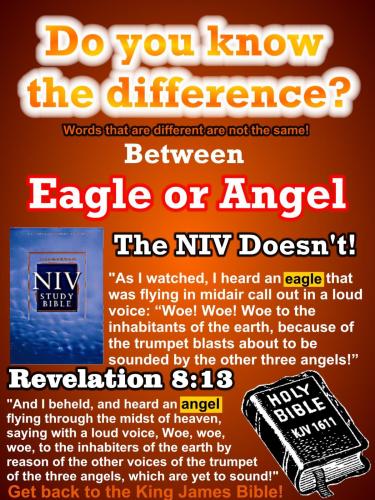 main-qimg-fb004cb7a1b6d25a9eab609a1bd18157