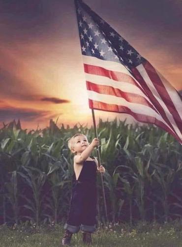 Flag - Child in corn field
