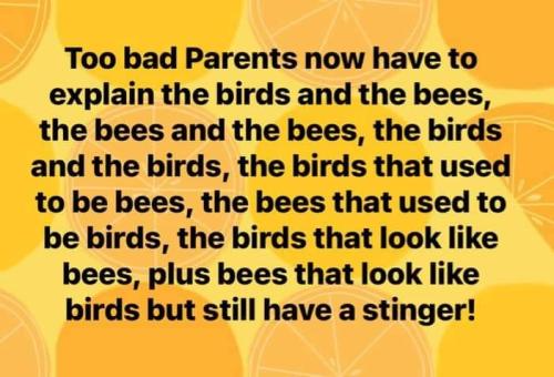 271653224_1629934074028326_4384961768312983061_n