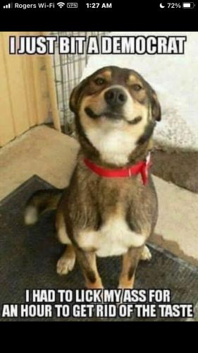 d8343724cdc62fab2c9b455fcdff0d5f_500x0