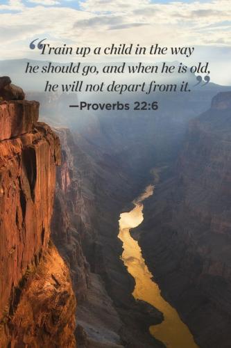 1d42d7dd-996a-407e-a852-d1e38085f59f