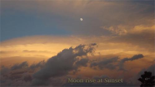 Moon rise at Sunset
