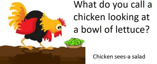 20220124 Chicken Sees A Salad