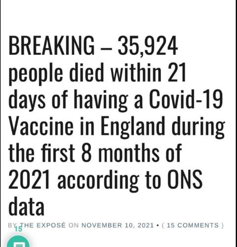 covid deaths UK