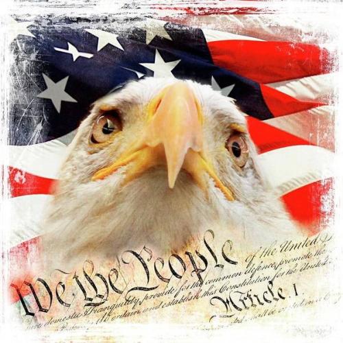we-the-people-eagle-and-american-flag-