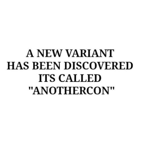 238
